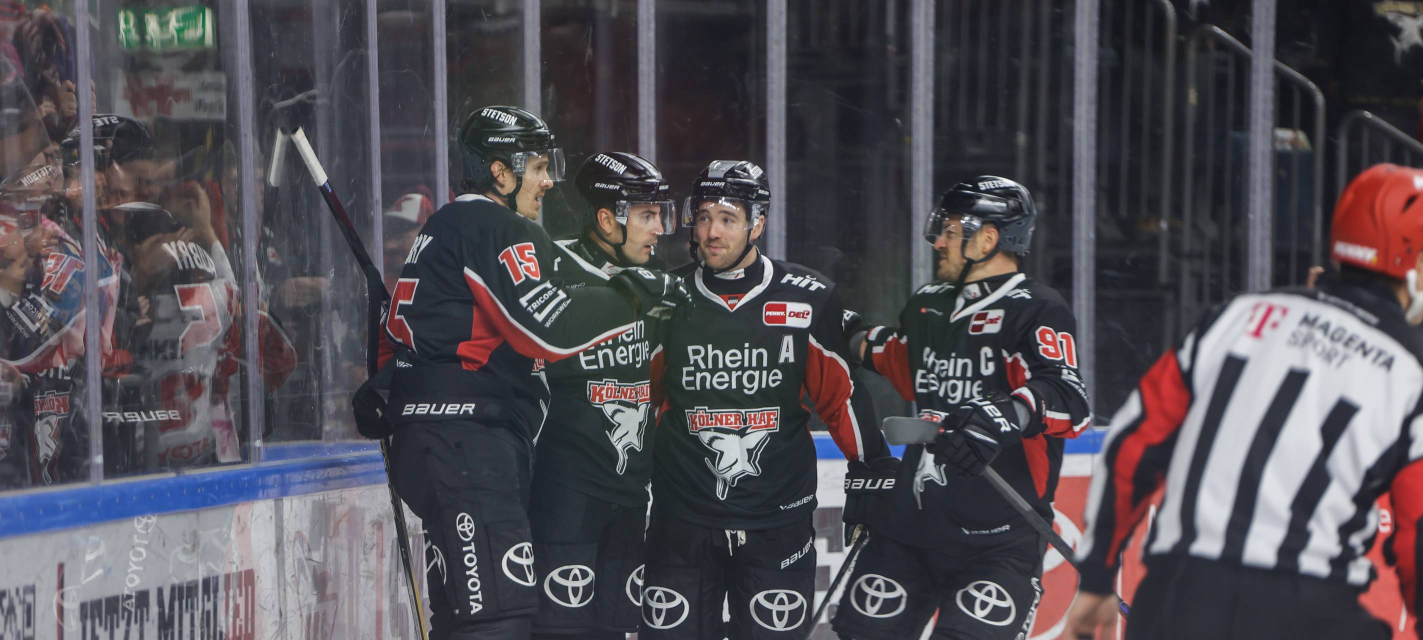 Eishockey: Haie empfangen Roosters