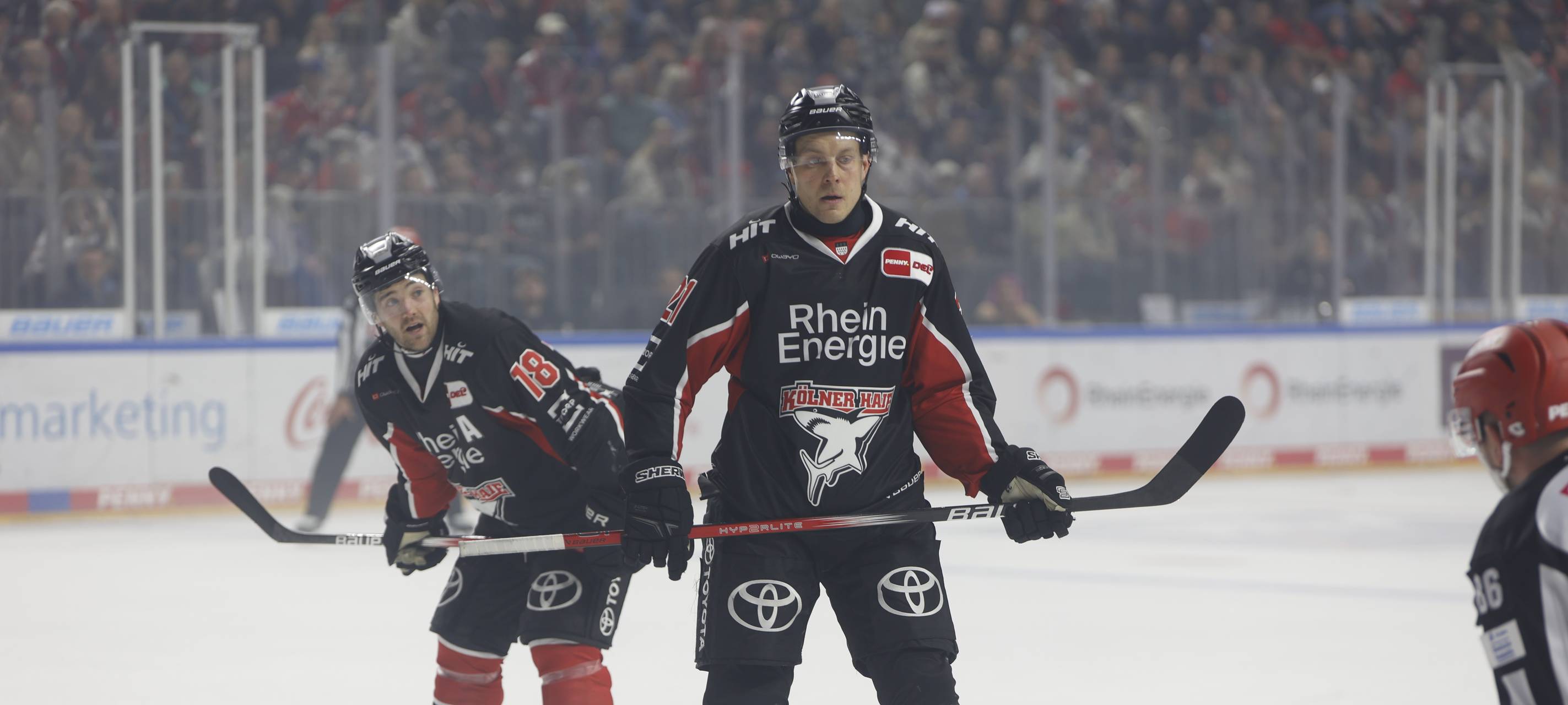 Dicke Klatsche für die Kölner Haie in Ingolstadt
