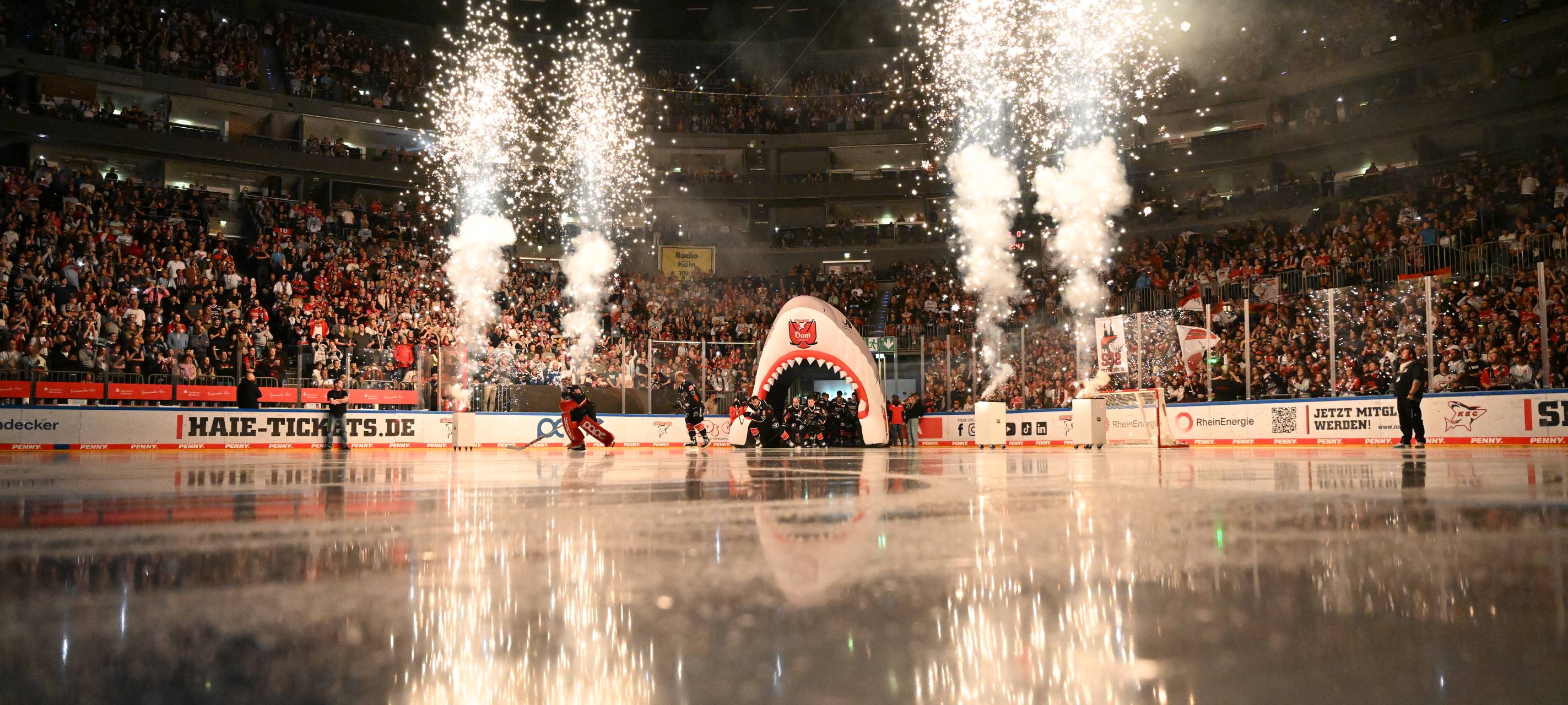 Kölner Haie verlieren gegen die Augsburger Panther