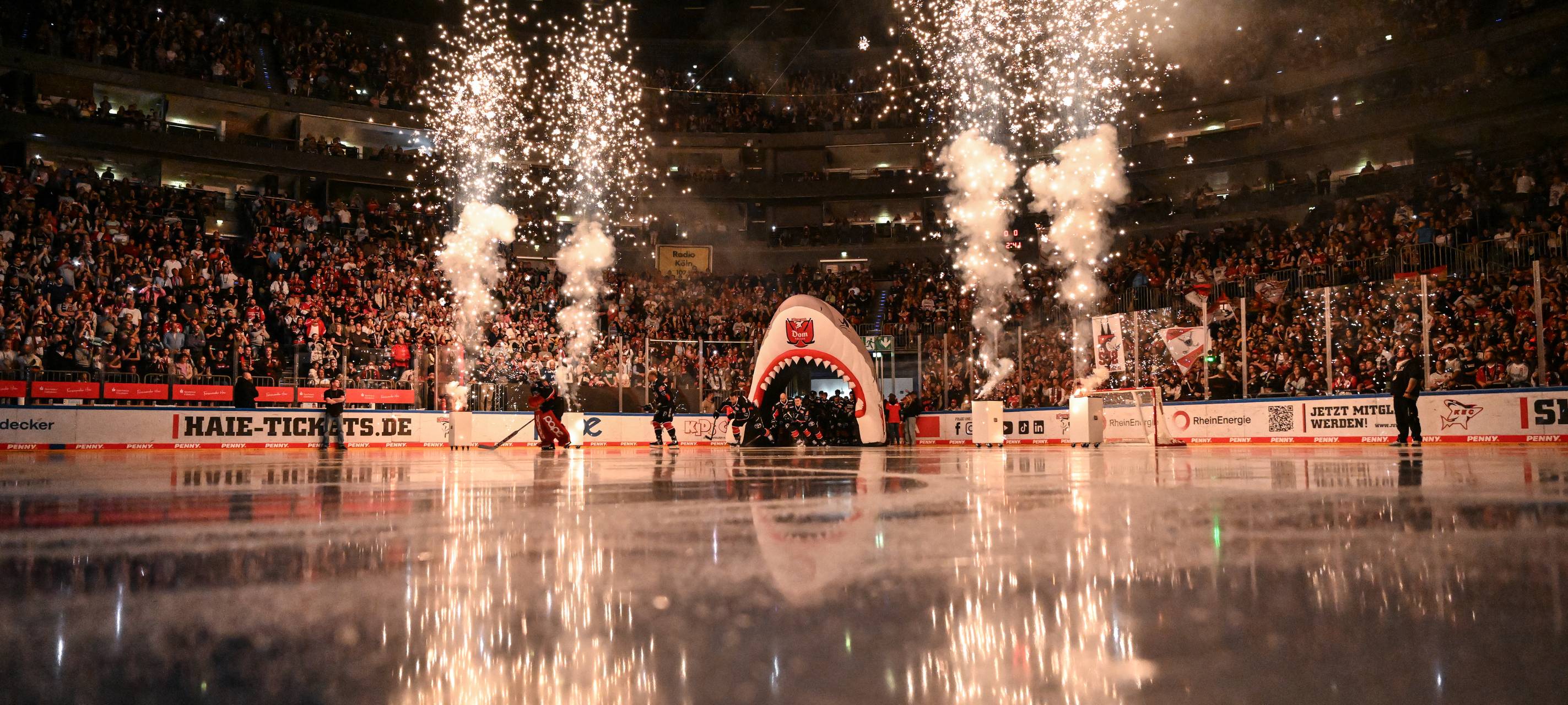Haie empfangen DEG in ausverkaufter Arena