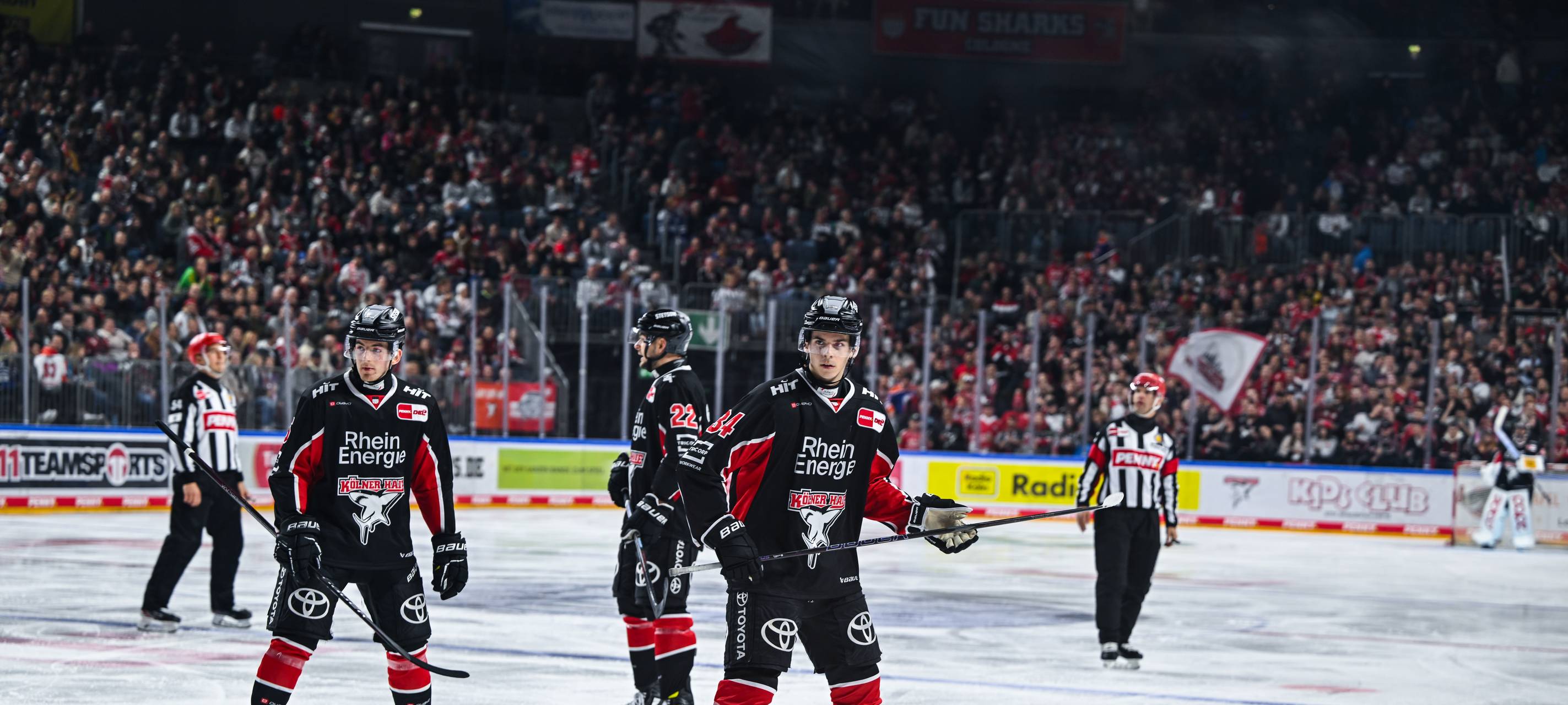 Haie verlieren zu Hause gegen die Adler Mannheim