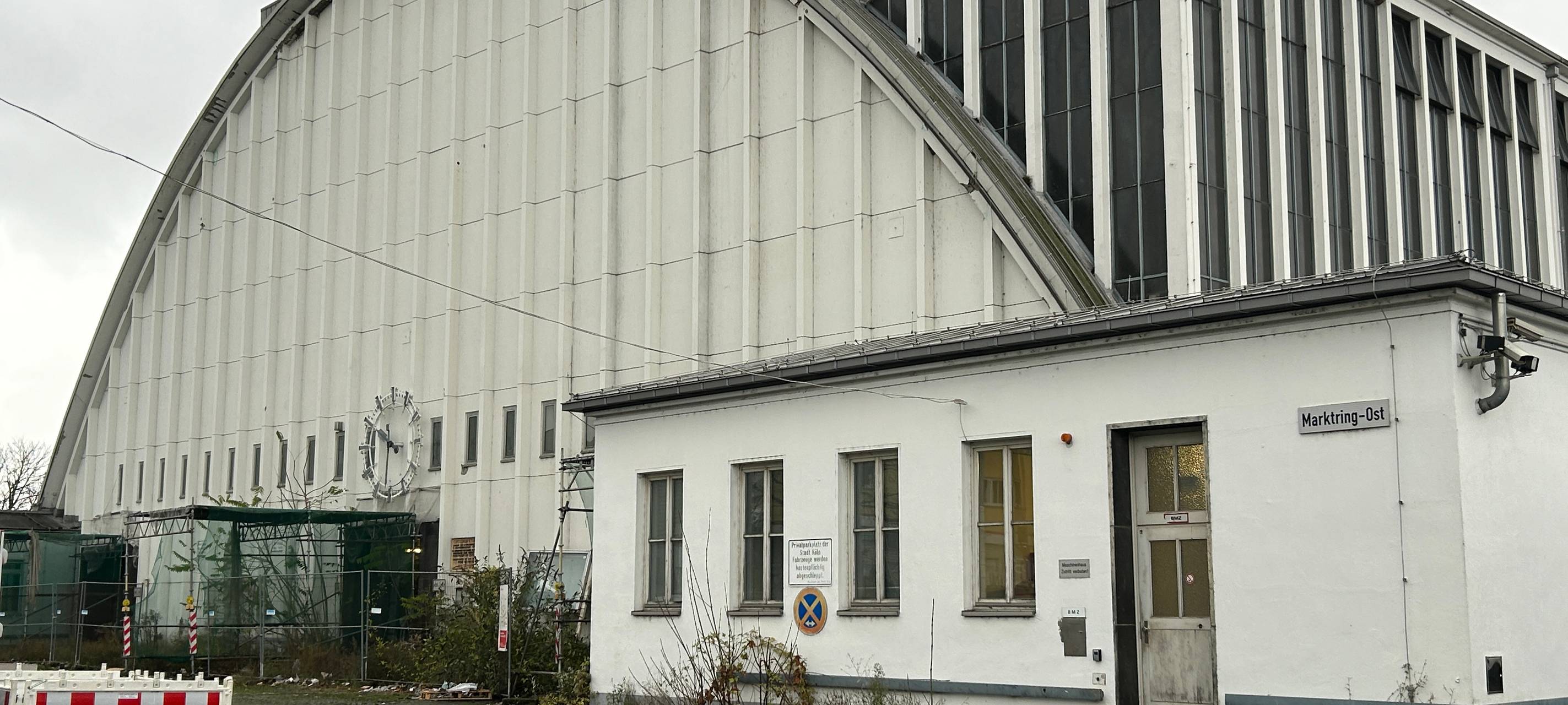 Großmarkt-Straßenkatzen - keine Lösung in Sicht