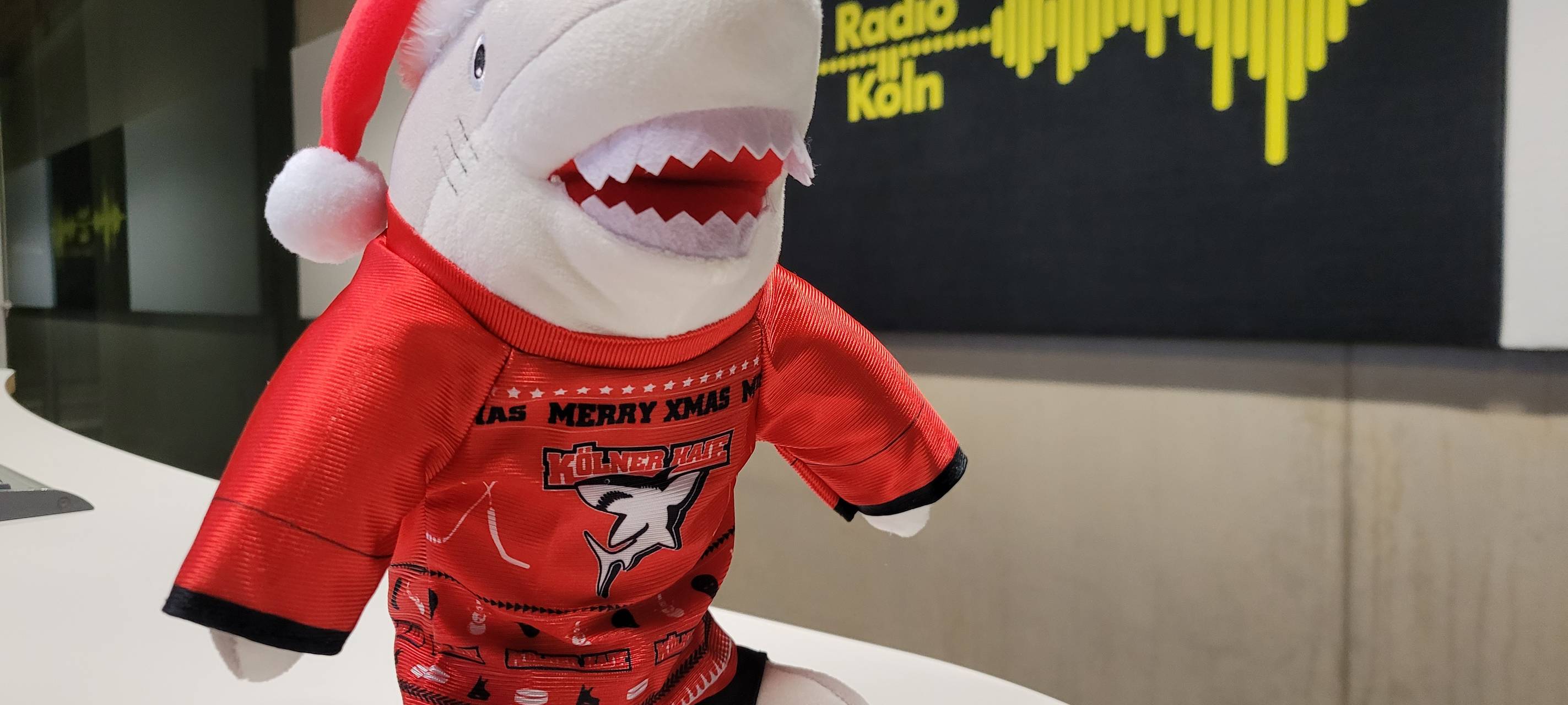 Kölner Haie müssen zum Meister