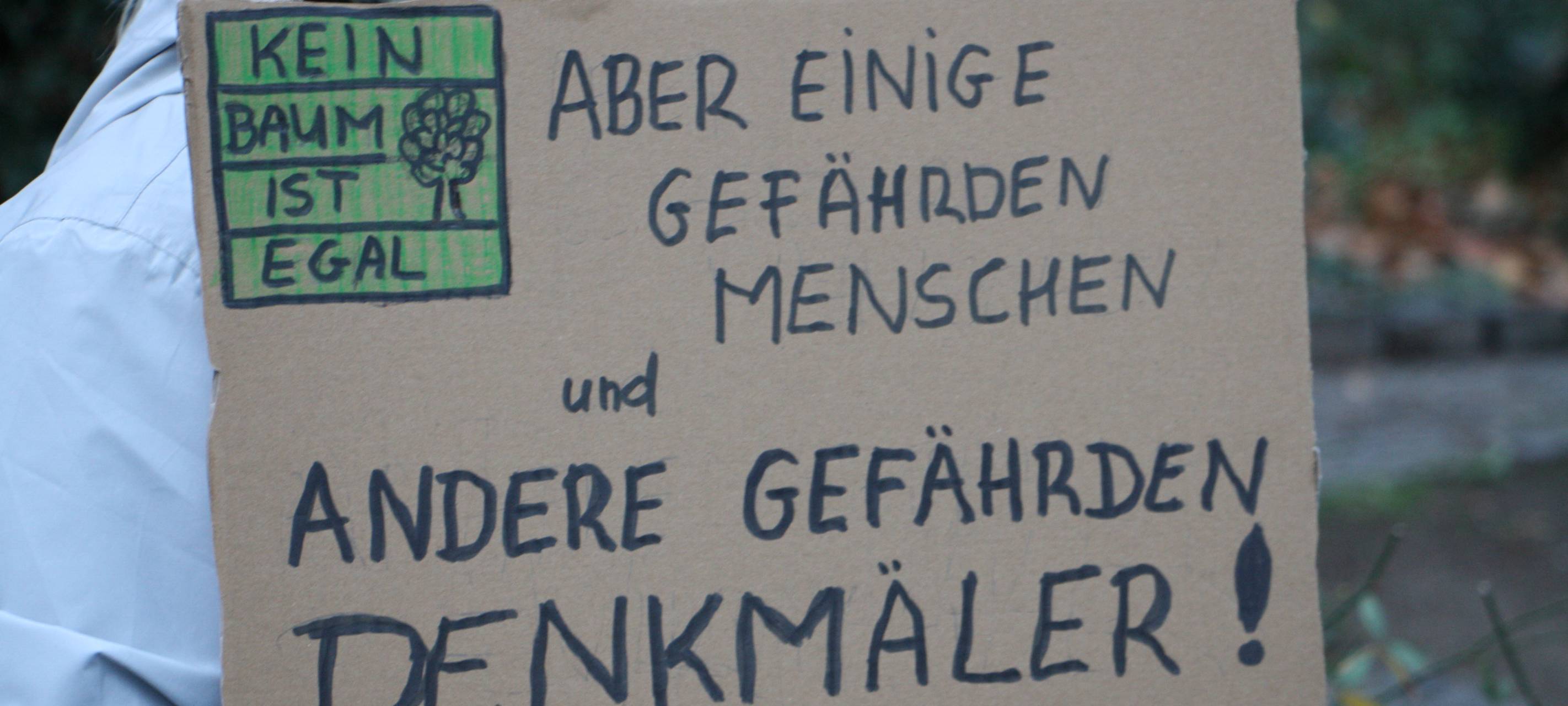 Kölner Platane Thema im Landtag