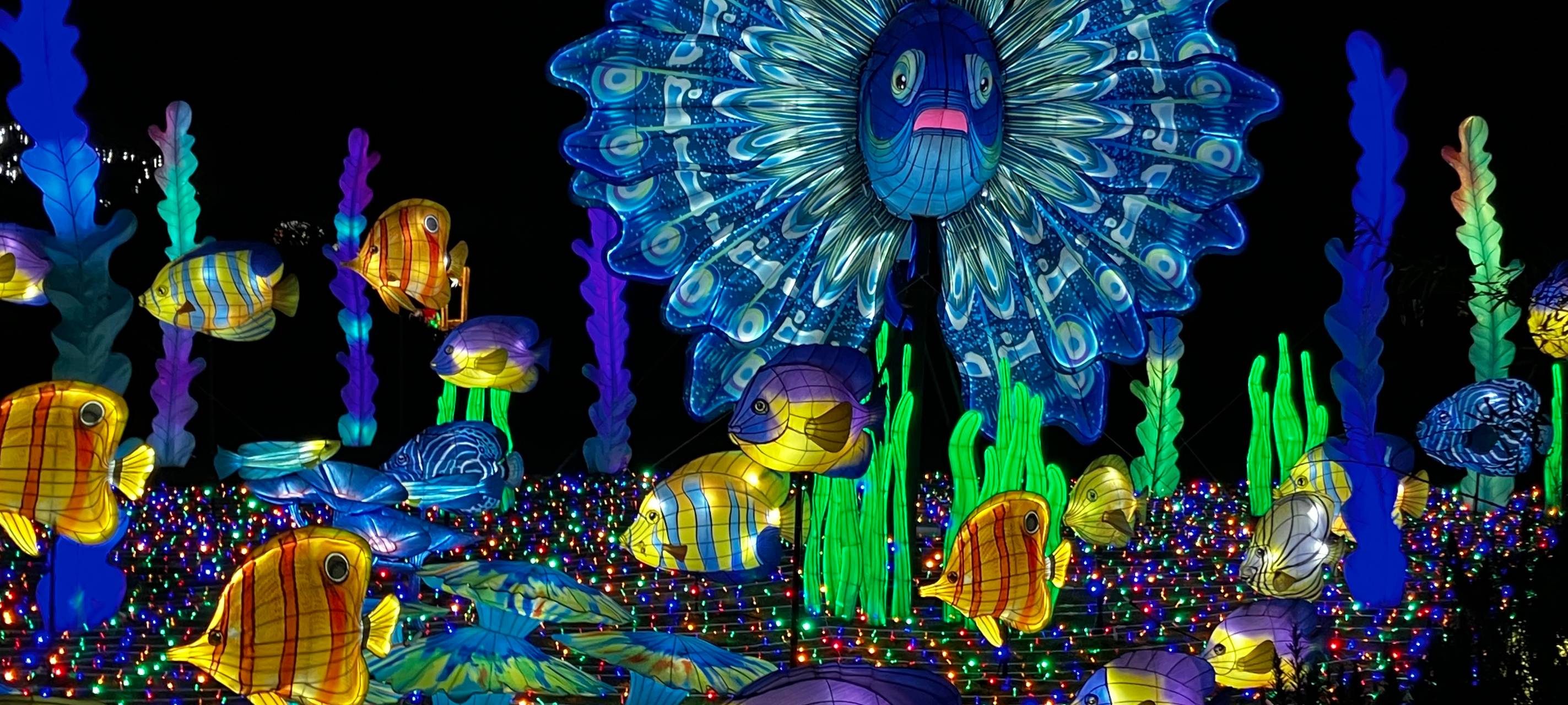 "China Lights" im Kölner Zoo eröffnet