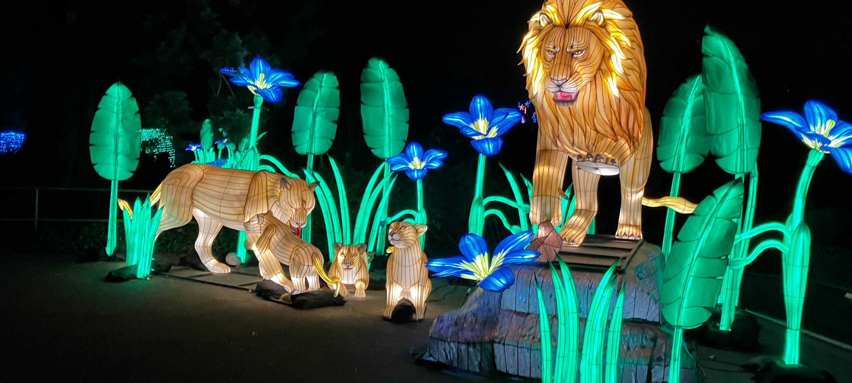 China Lights im Kölner Zoo gestartet