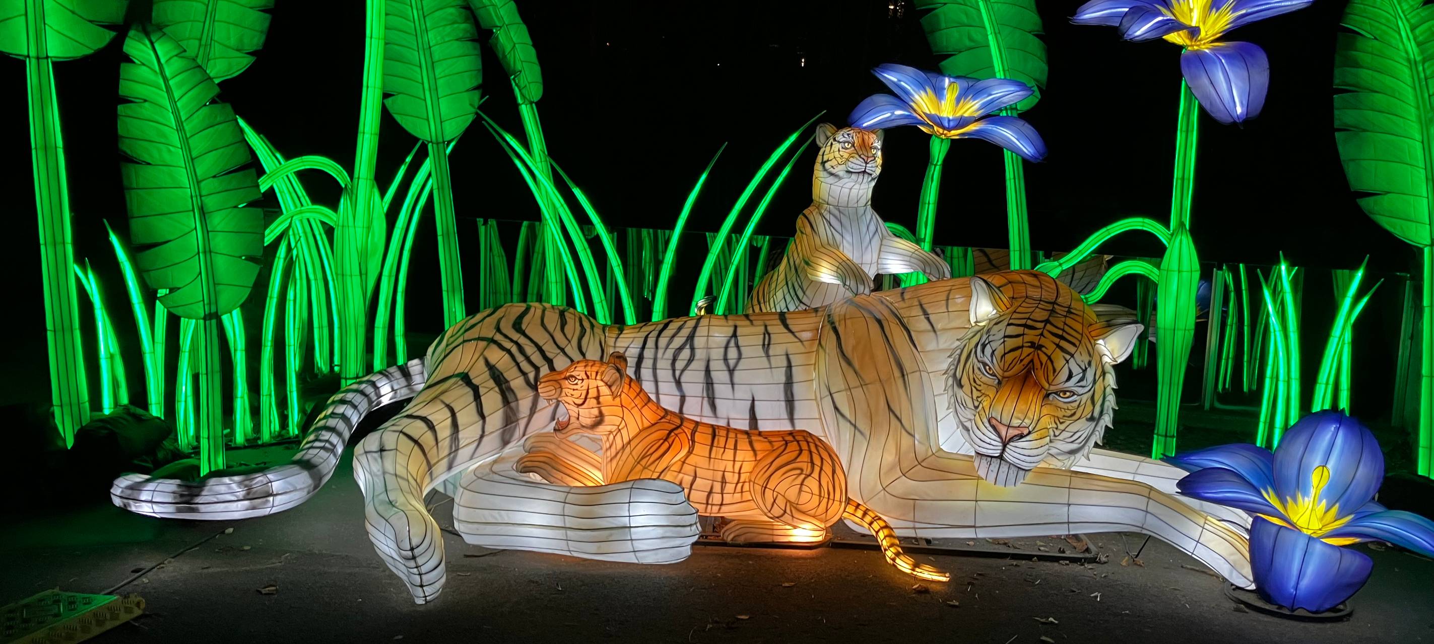 "China Lights" im Kölner Zoo eröffnet