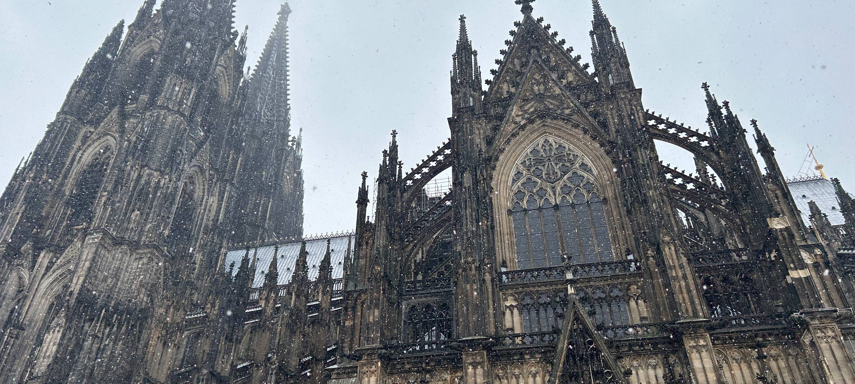 Katholikenausschuss kritisiert geplante Haushaltskürzungen