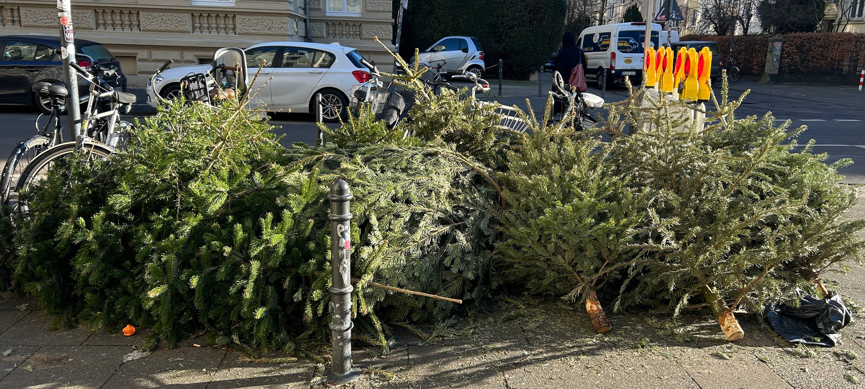 AWB kümmert sich um liegengebliebene Tannenbäume