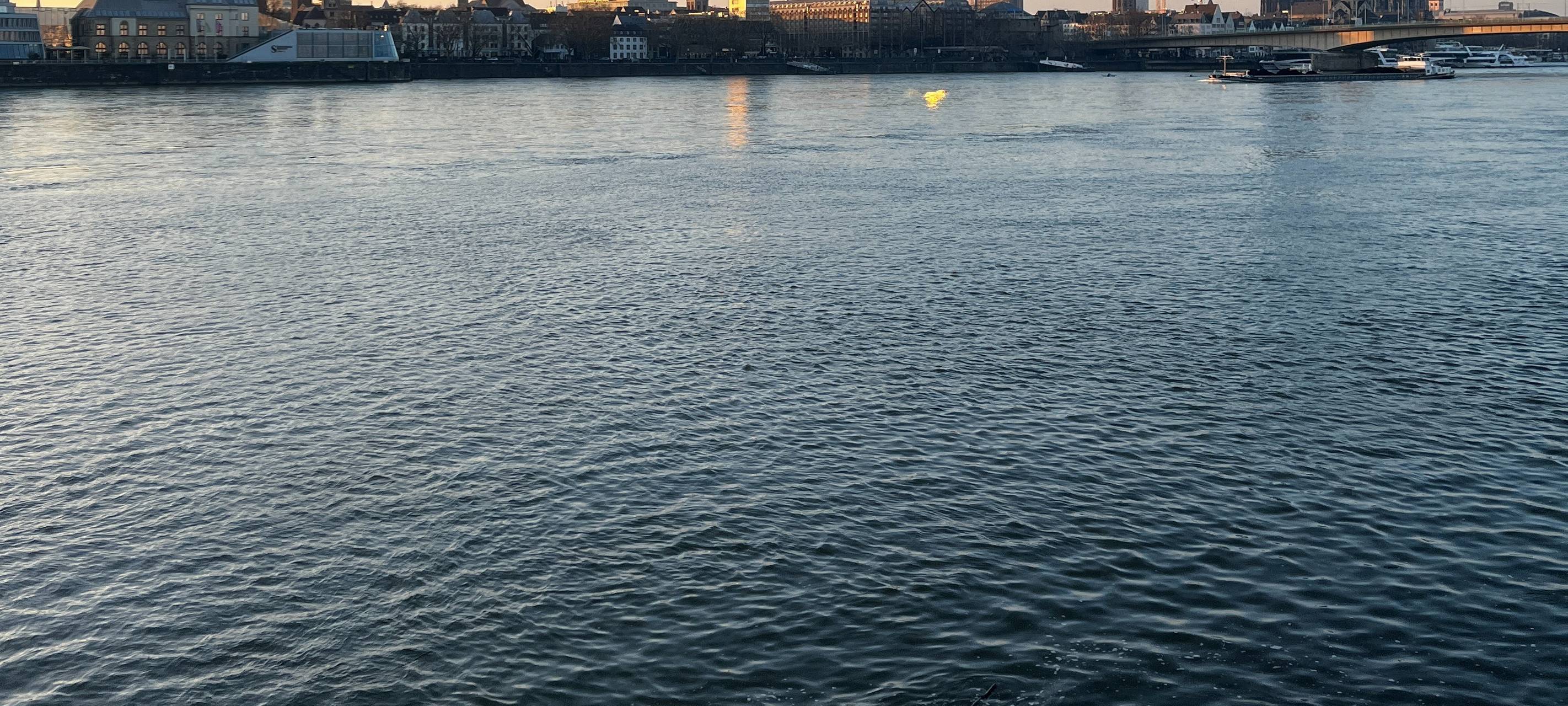 Verwaltung legt Beschlussvorlage für Badeverbot im Rhein vor