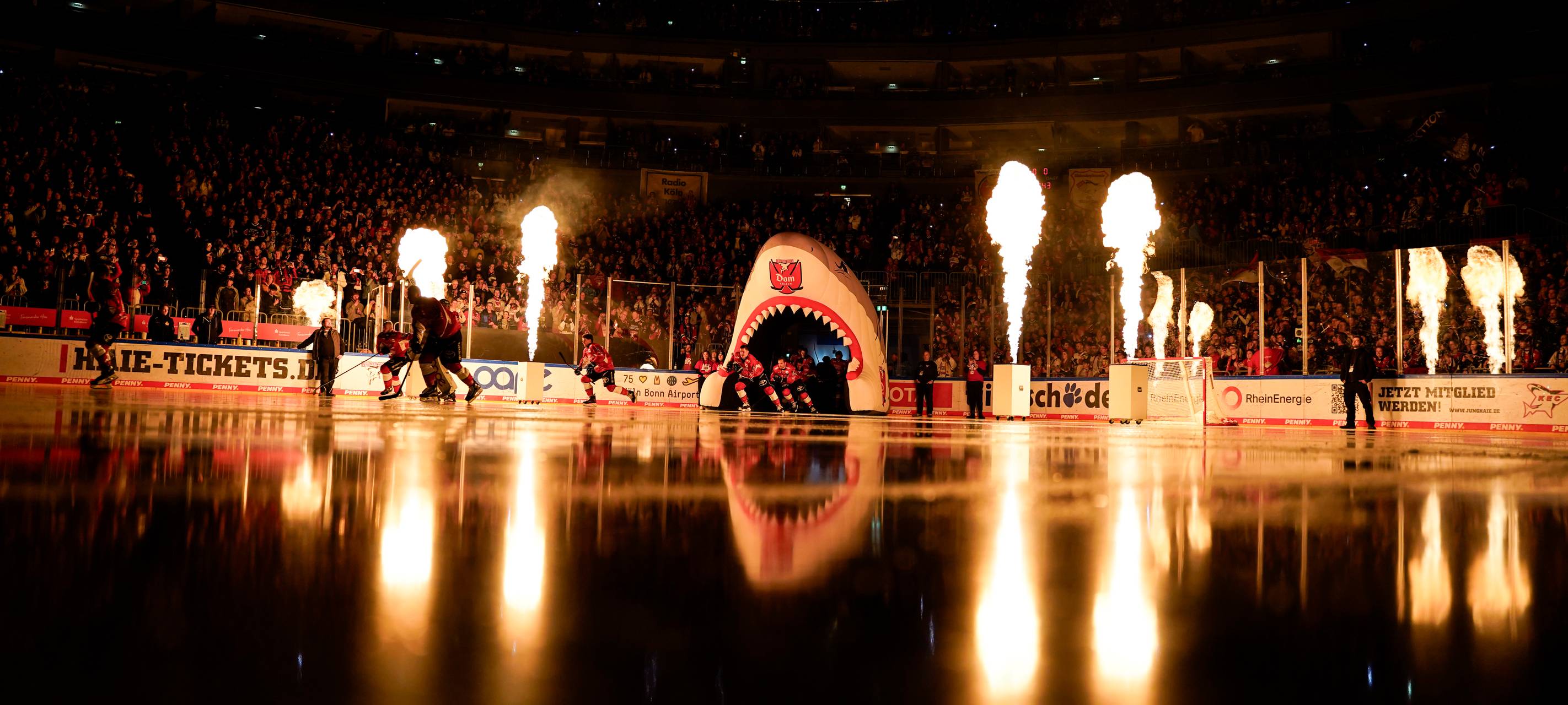 Haie-Jahr startet 2026 mit Spitzenspiel
