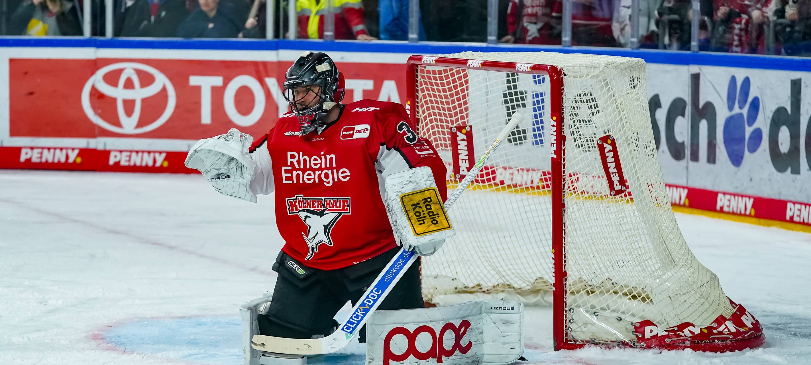 Kölner Haie verspielen ersten Matchpuck