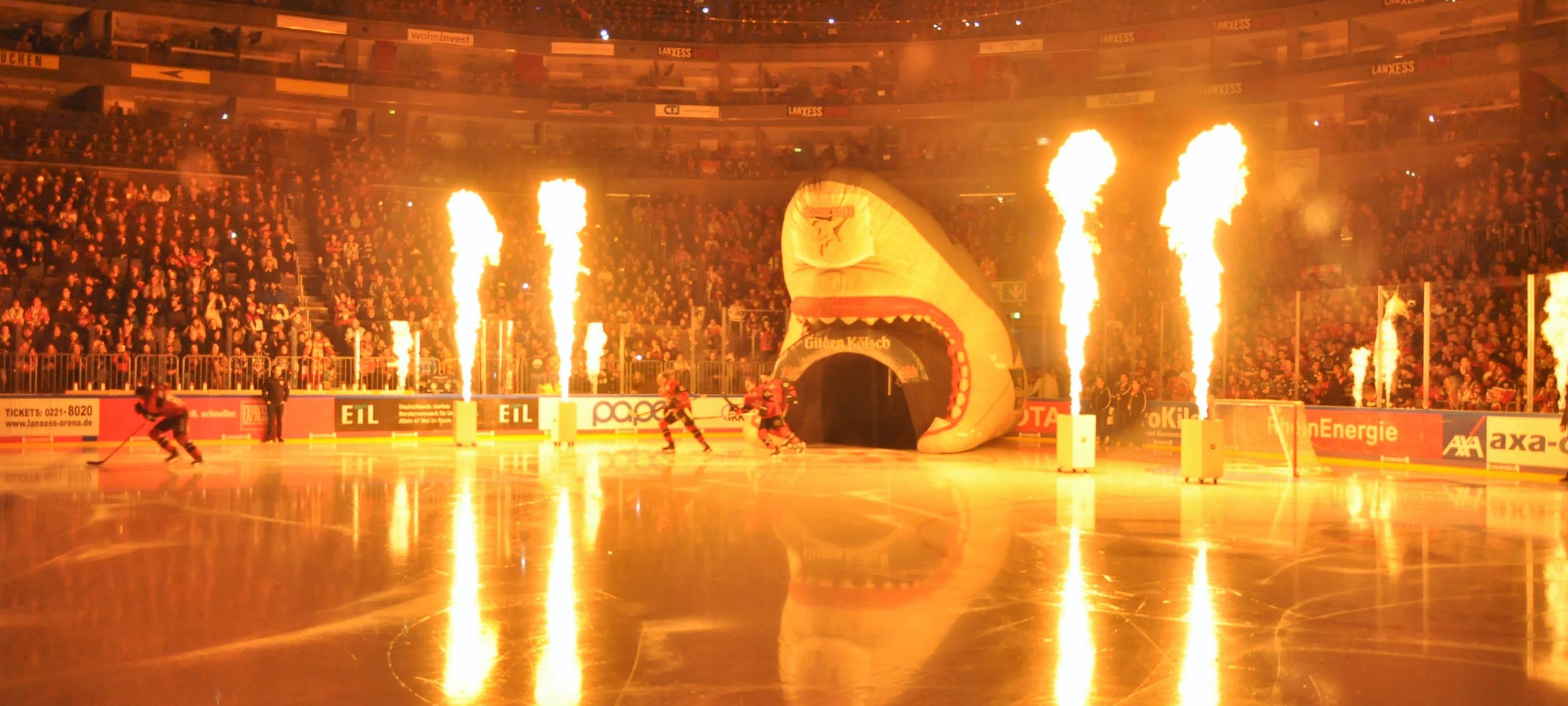 Zach Sill wechselt zu den Kölner Haien
