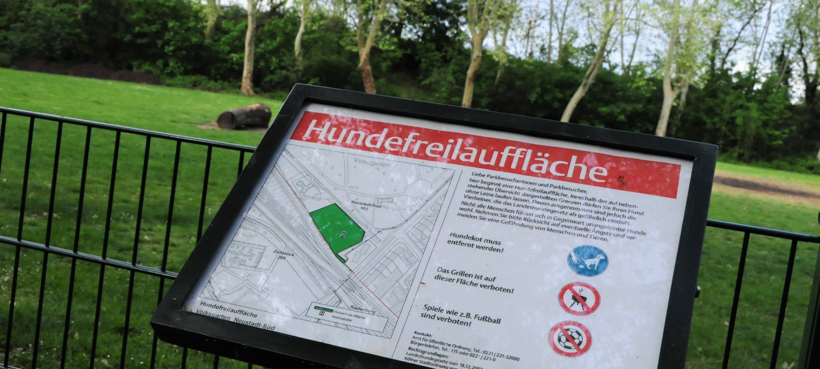 Hundesteuer steigt ab Januar in Köln