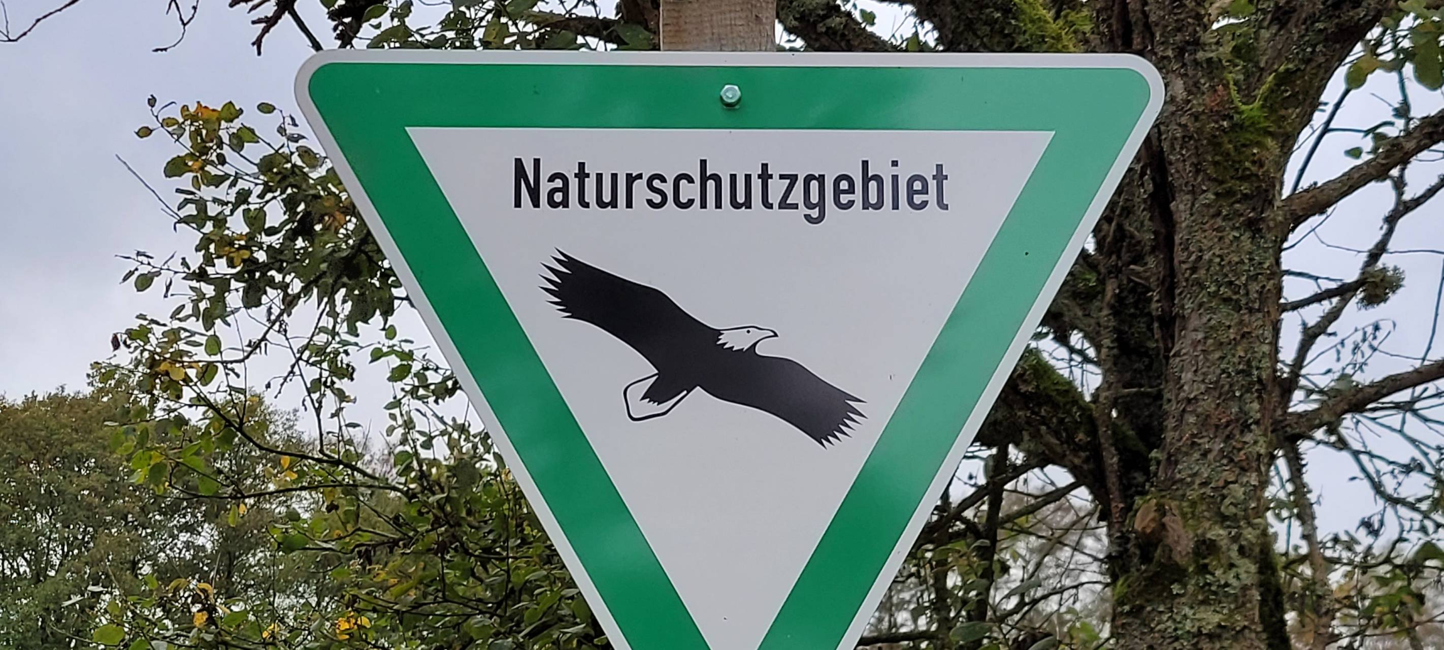 Festivals im Jugendpark dürfen stattfinden