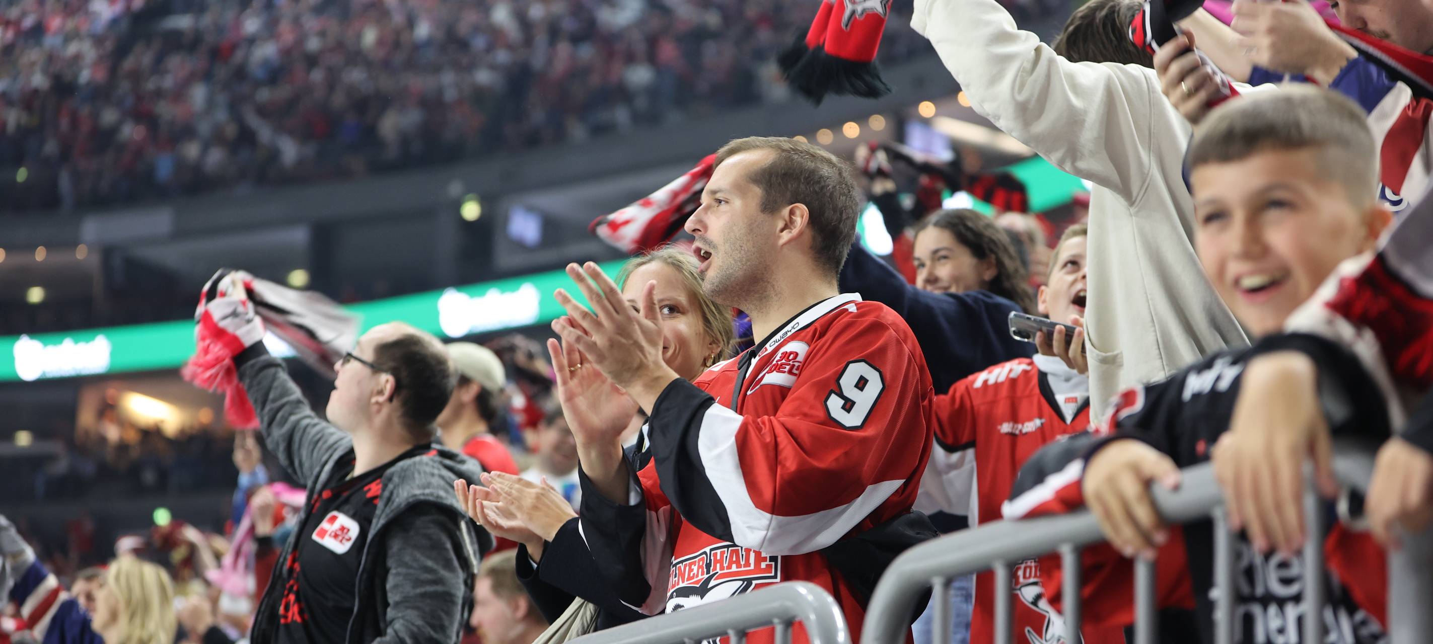 Haie gewinnen in Nürnberg