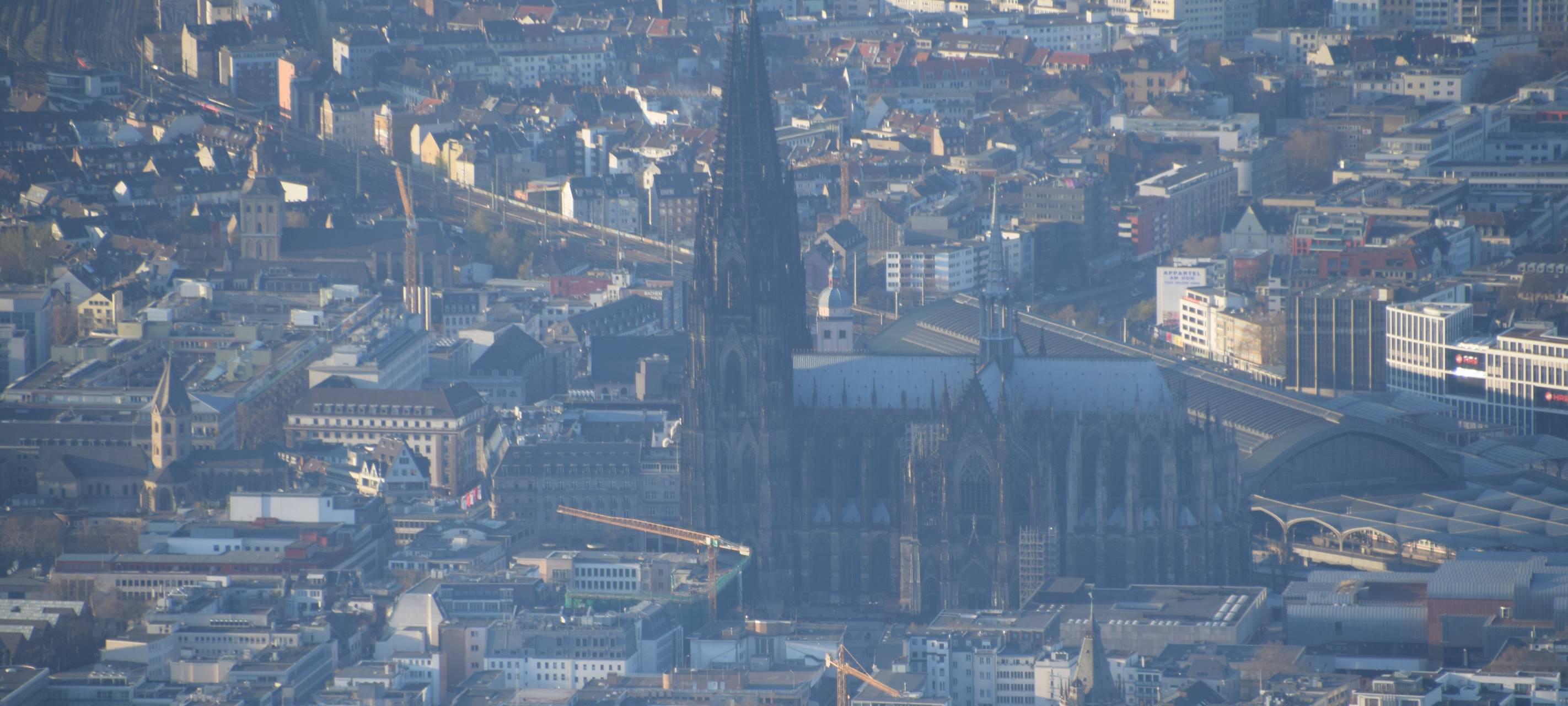 Kölner Grüne beschließen Wahlprogramm