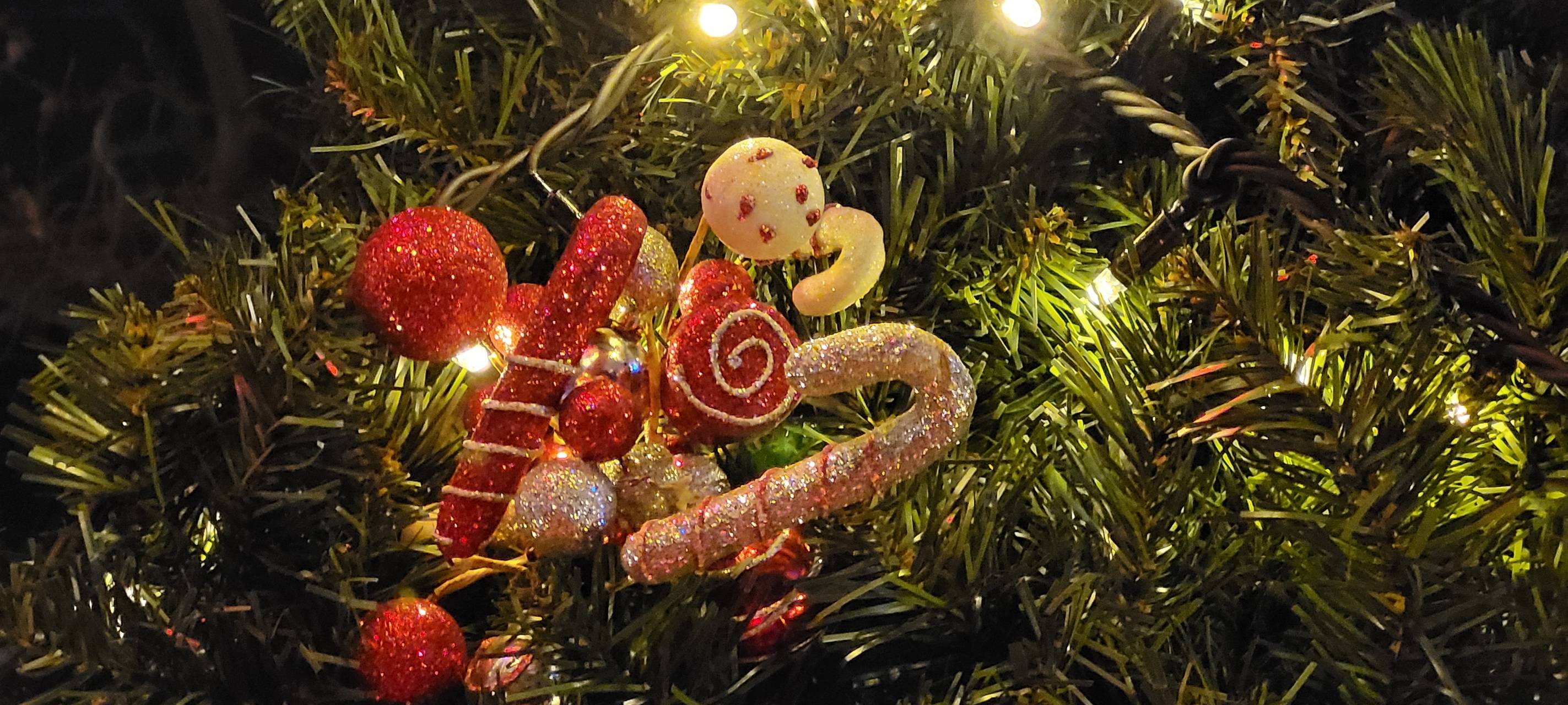 "Loss mehr Weihnachtsleeder singe för Pänz" in der Arena