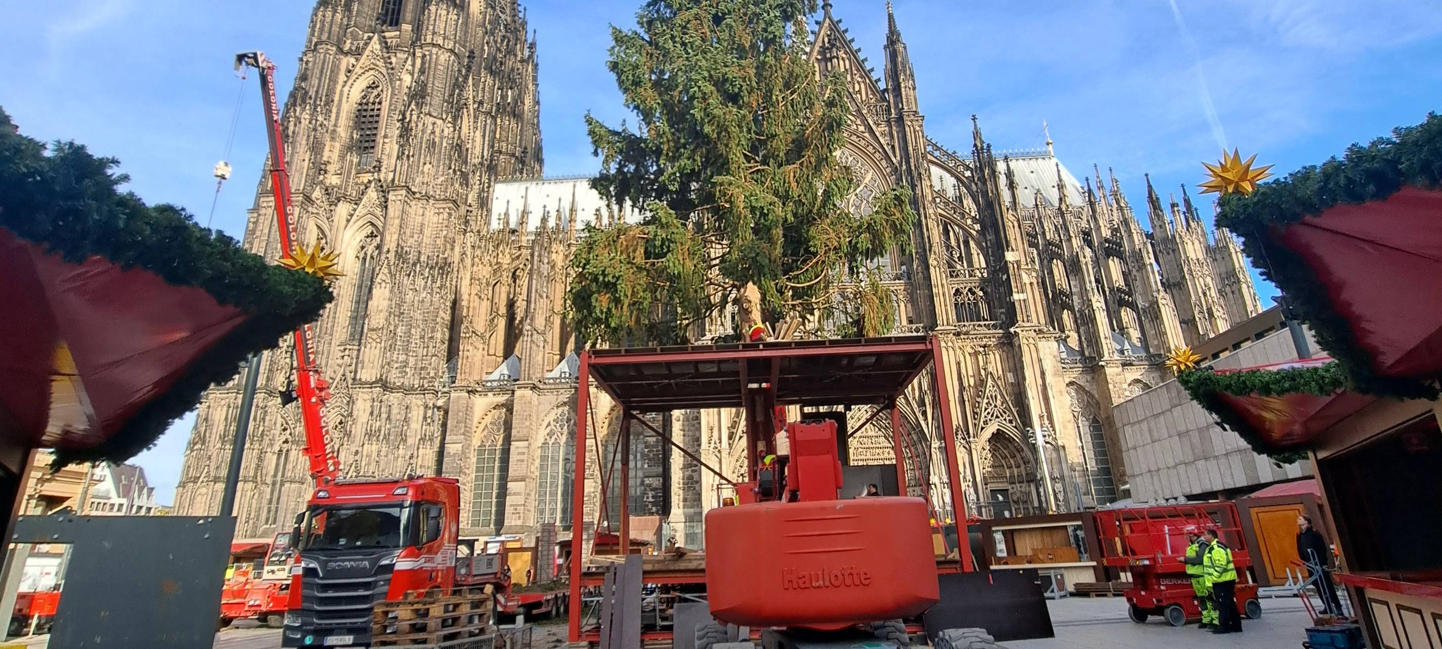 Der Baum kommt!
