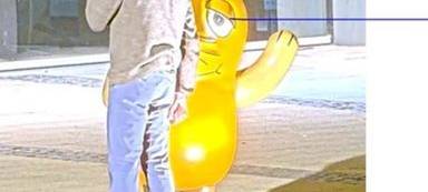 Angezündete Maus-Statue: Fahndung mit Überwachungsbildern