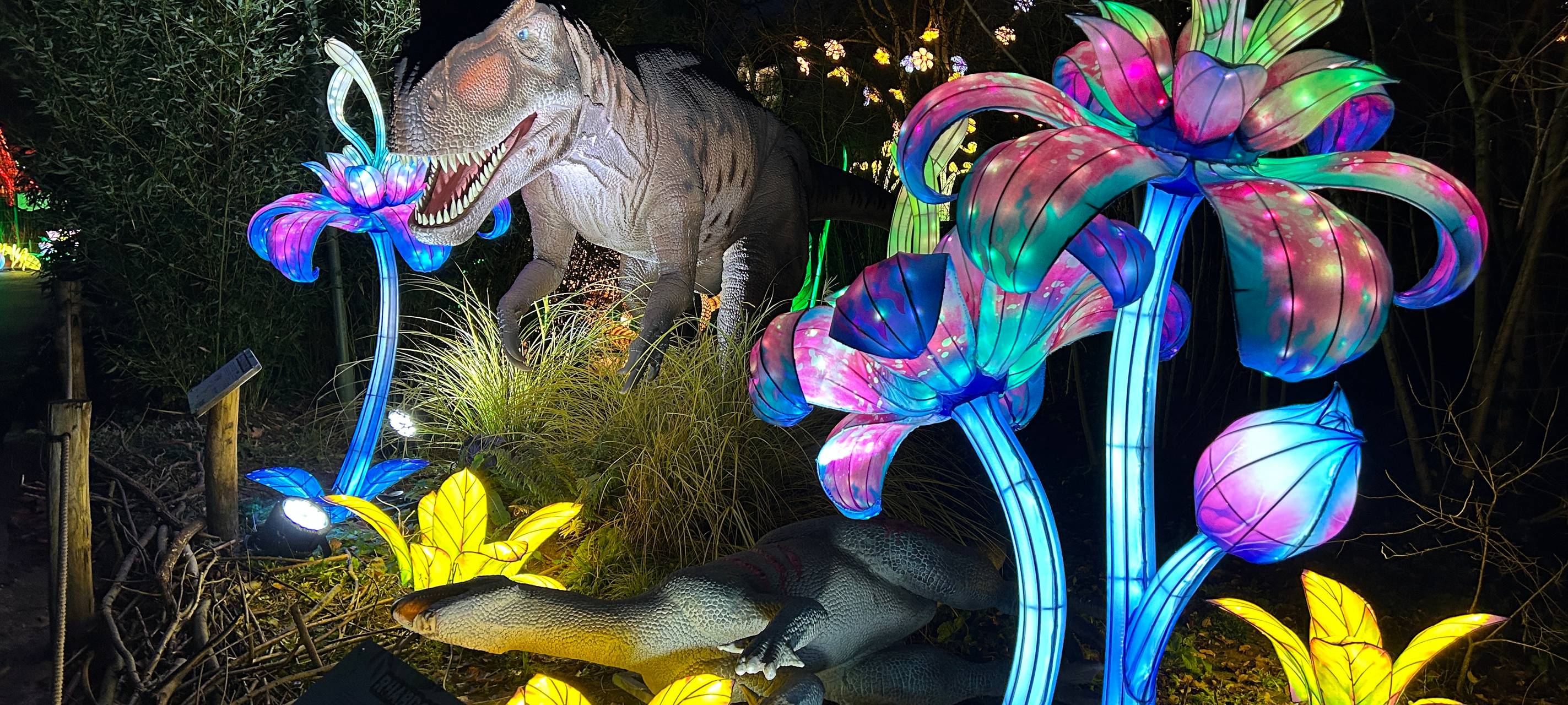 Leuchtende Welten bei China Lights