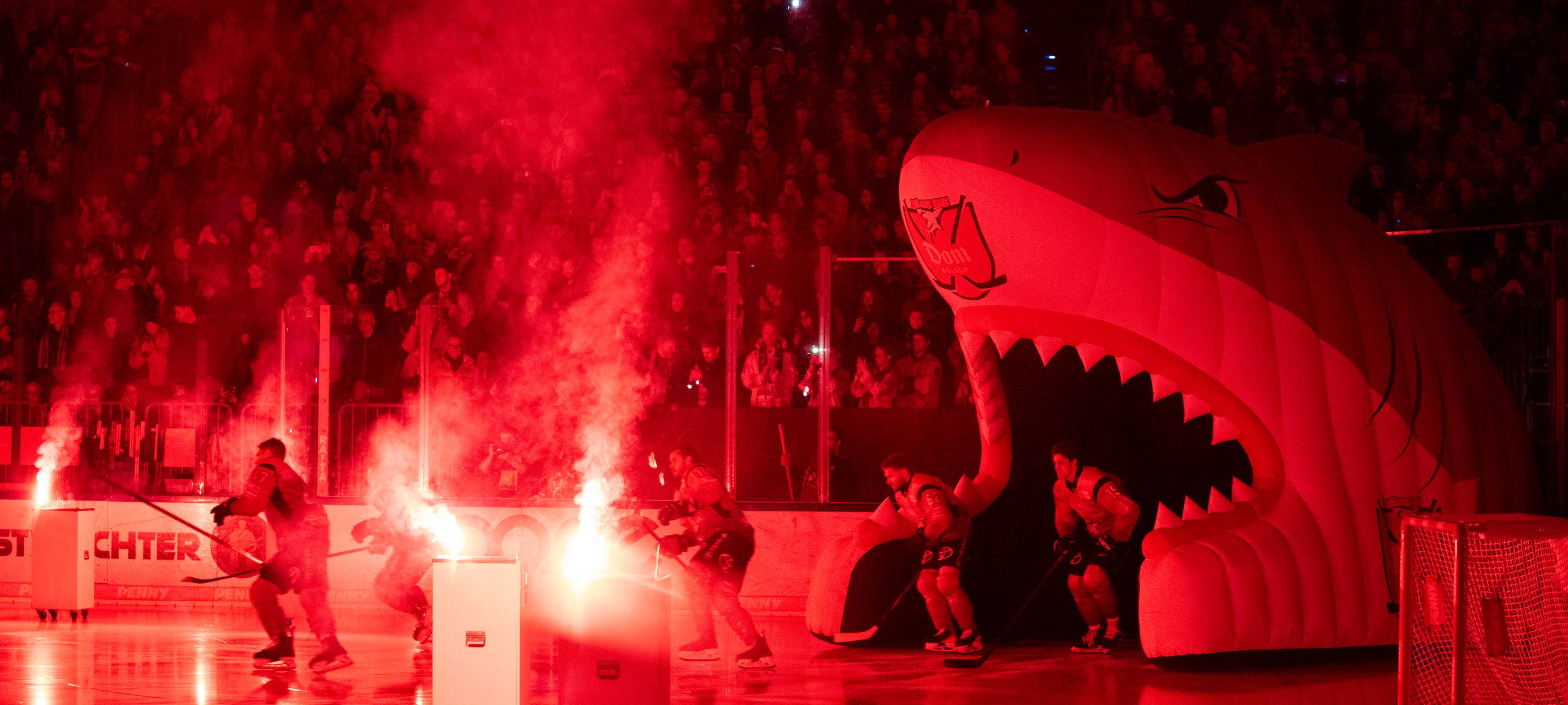 Kölner Haie starten mit Schwung in DEL-Saison