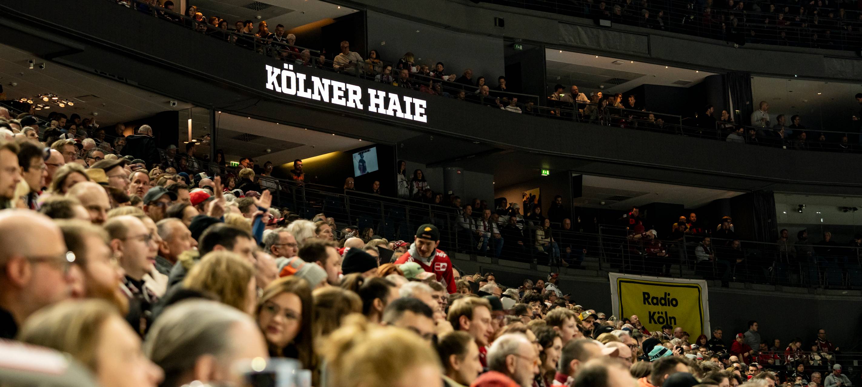 Kölner Haie gewinnen gegen den ERC Ingolstadt