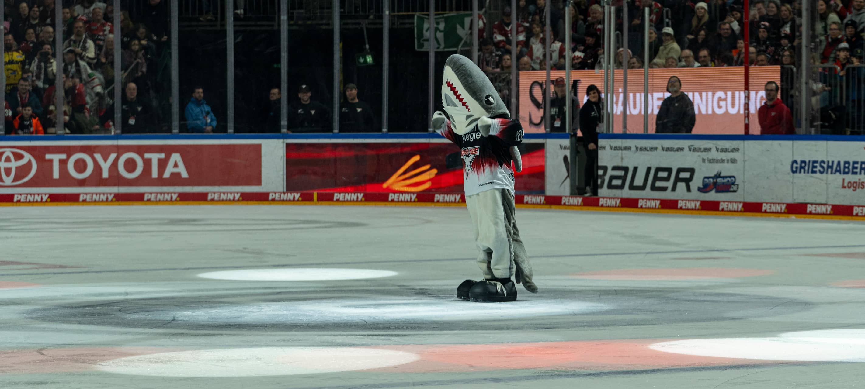 Haie verlieren nach Verlängerung gegen Adler Mannheim