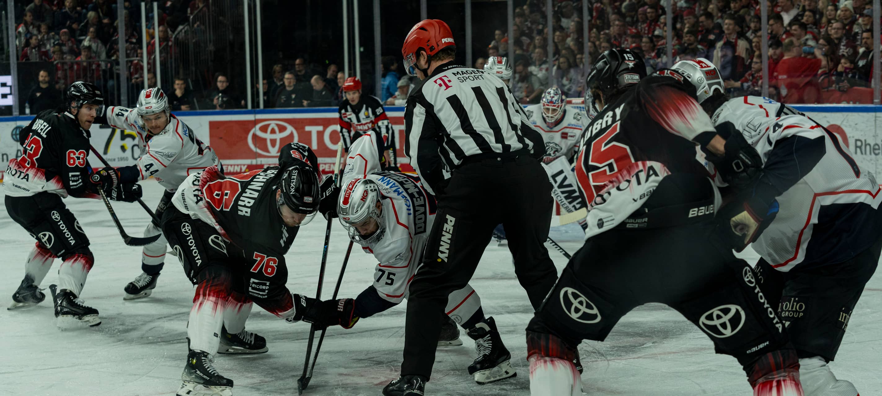 Kölner Haie müssen gegen Iserlohn ran