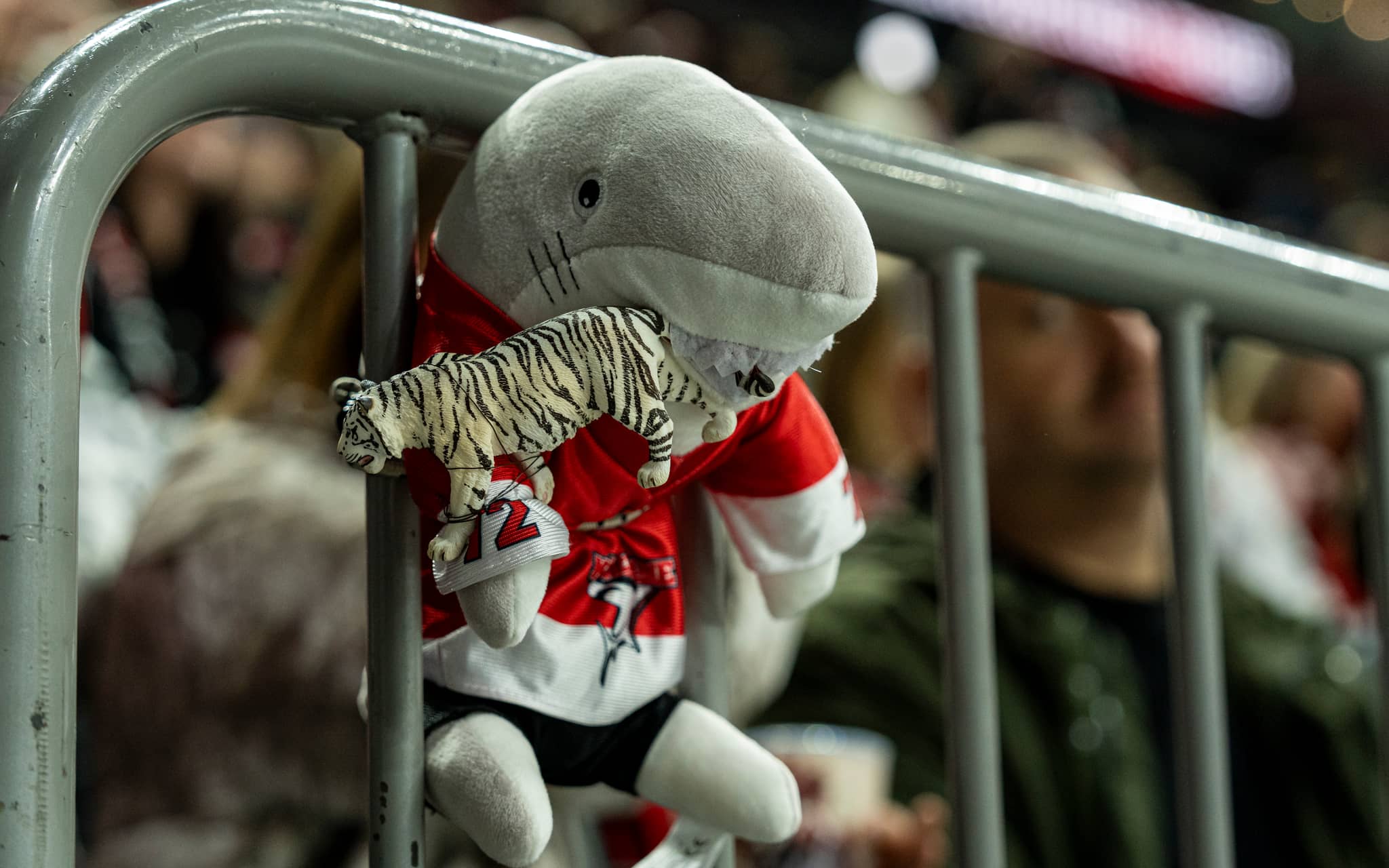 Kölner Haie treten beim ERC Ingolstadt an