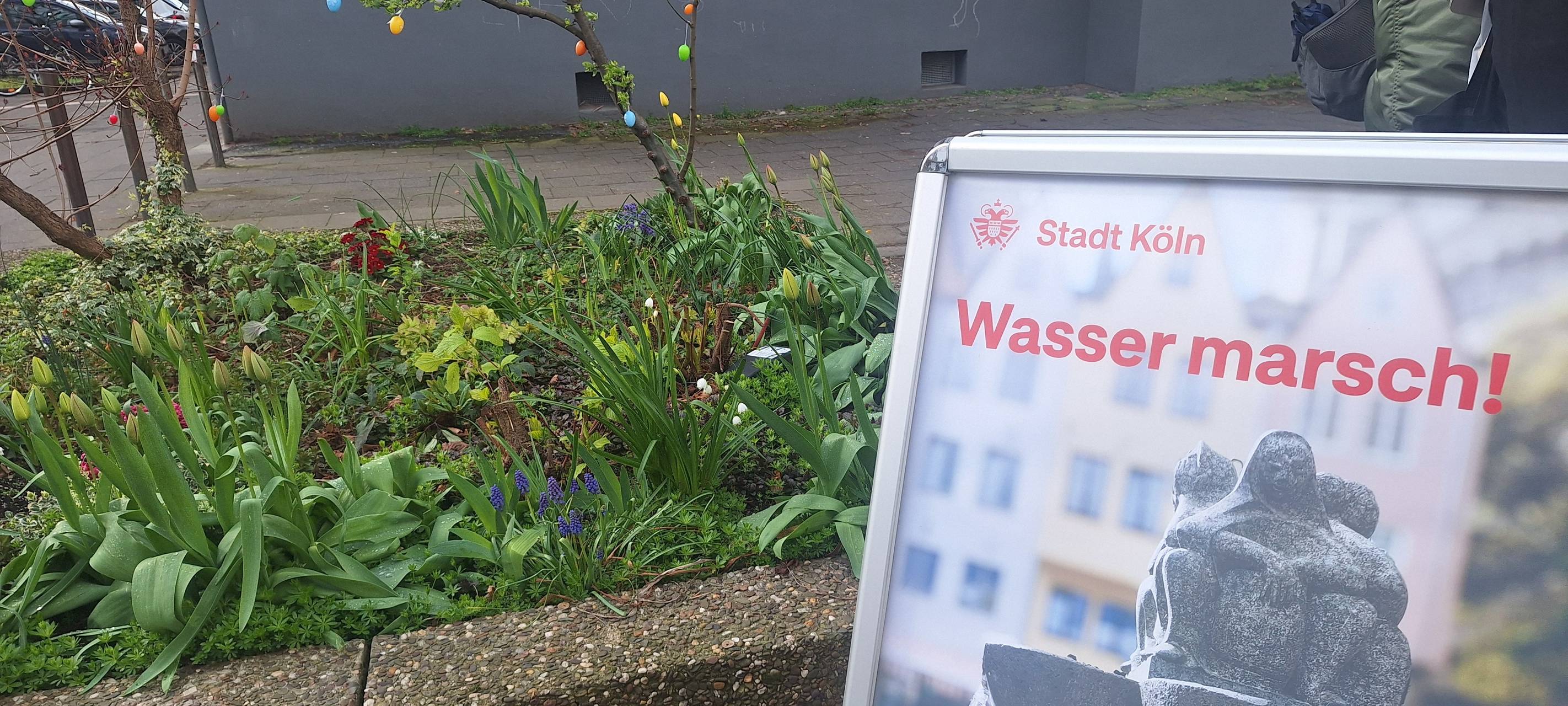 Kölner Brunnen sprudeln wieder