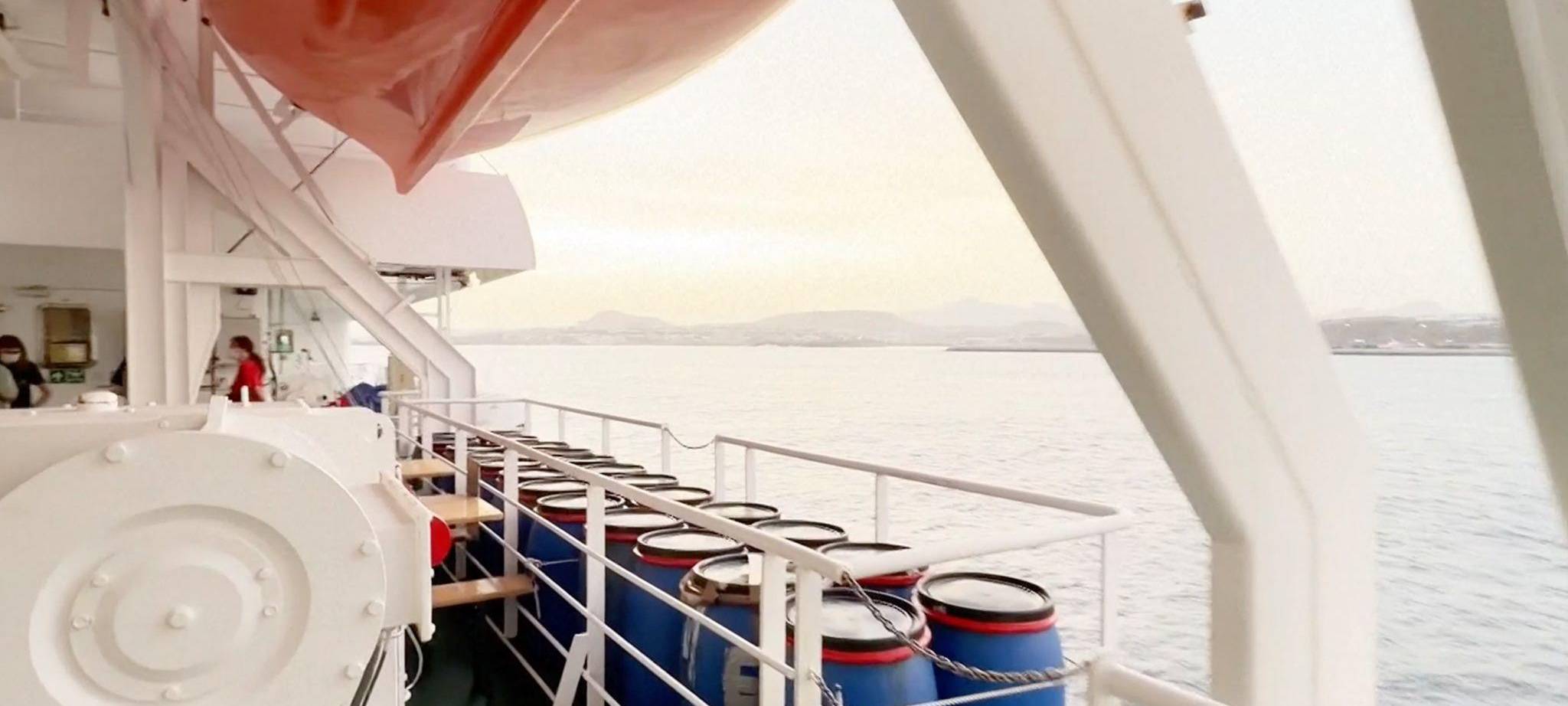 Drei Tote nach Hantavirus-Ausbruch auf Kreuzfahrtschiff