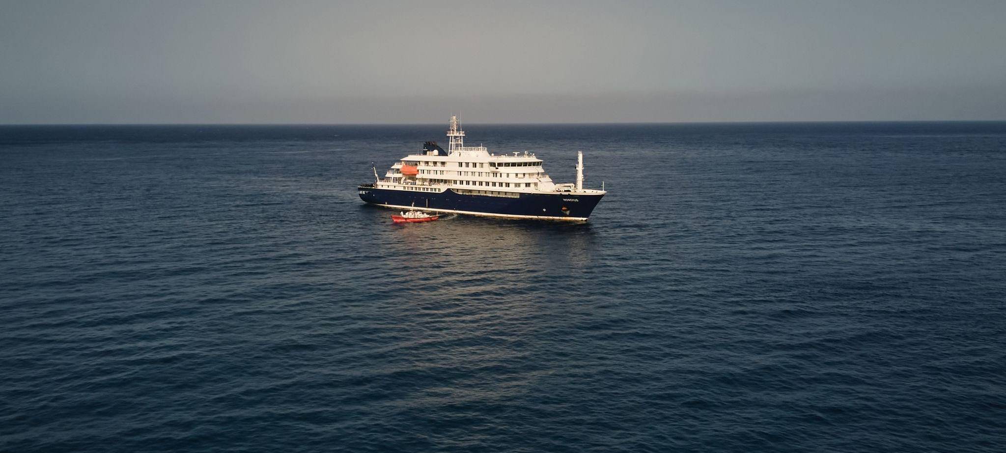 Drei Tote nach Hantavirus-Ausbruch auf Kreuzfahrtschiff