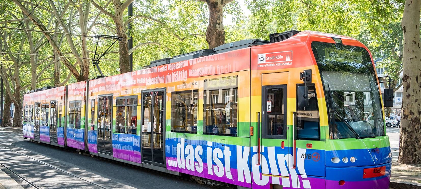 Karnevalsticket soll Verkehr entlasten