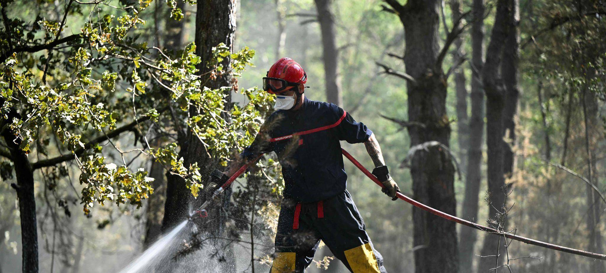 Waldbrand bei Paris
