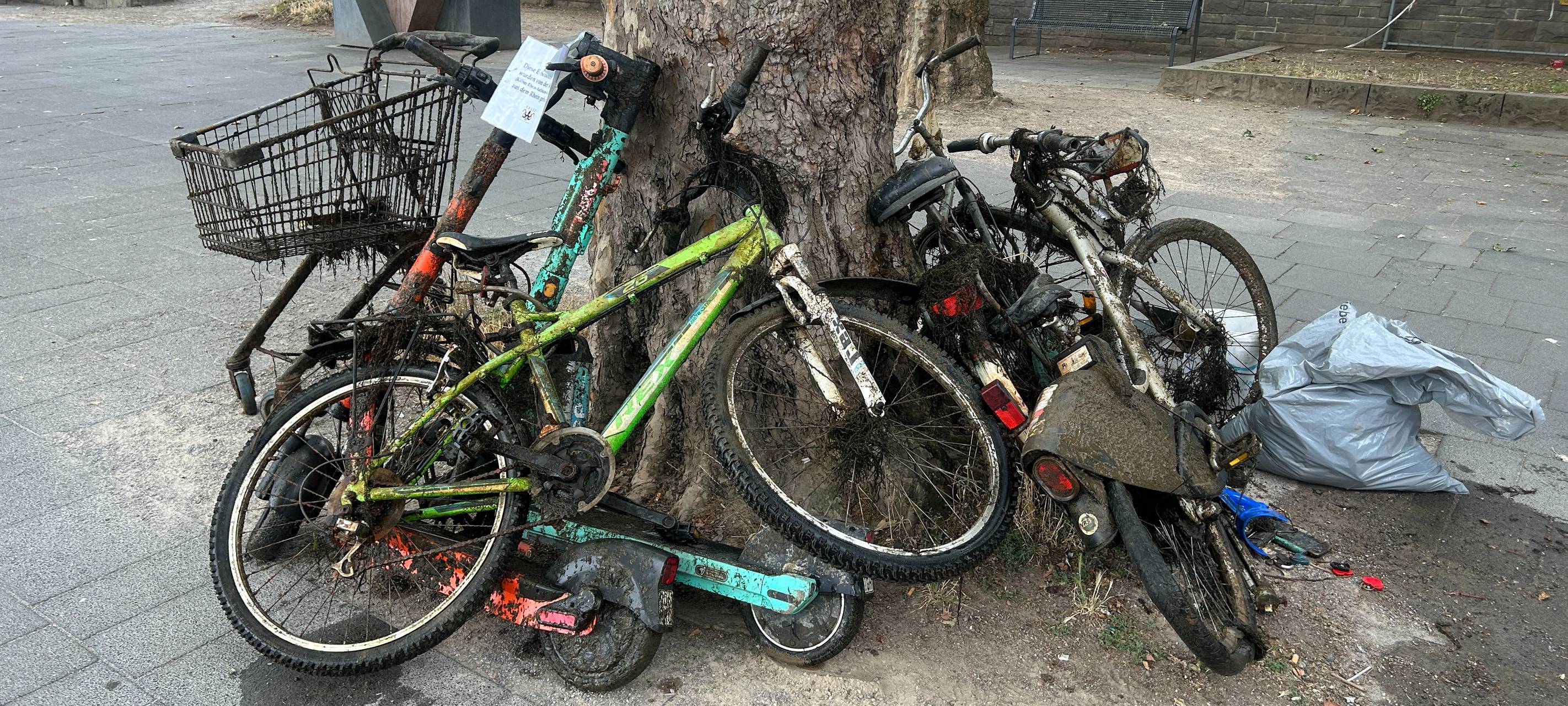 Viele E-Scooter aus dem Rhein geborgen
