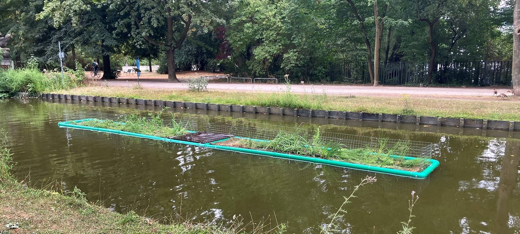 Pflanzinsel soll Wasserqualität im Kanal verbessern