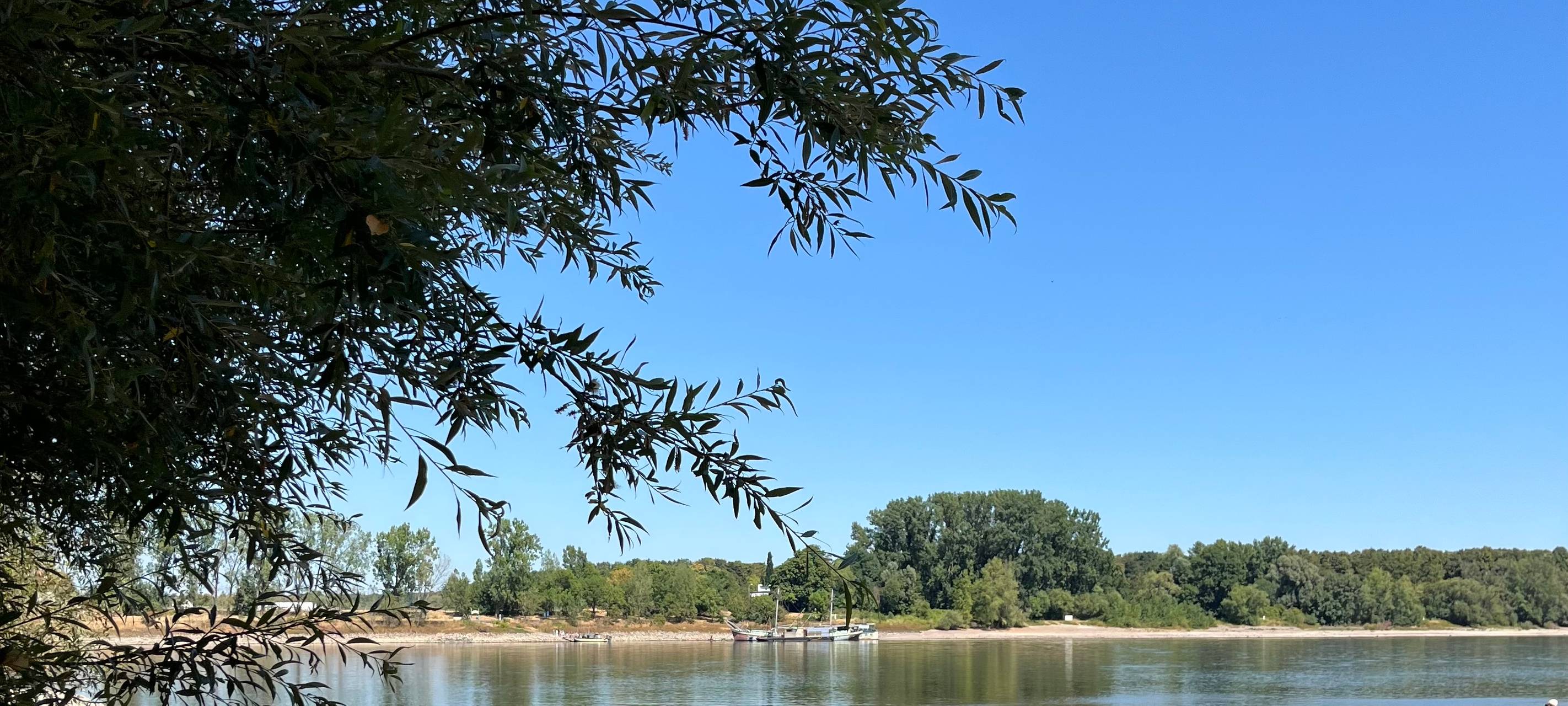 Neuer Negativrekord: Rhein so niedrig wie noch nie