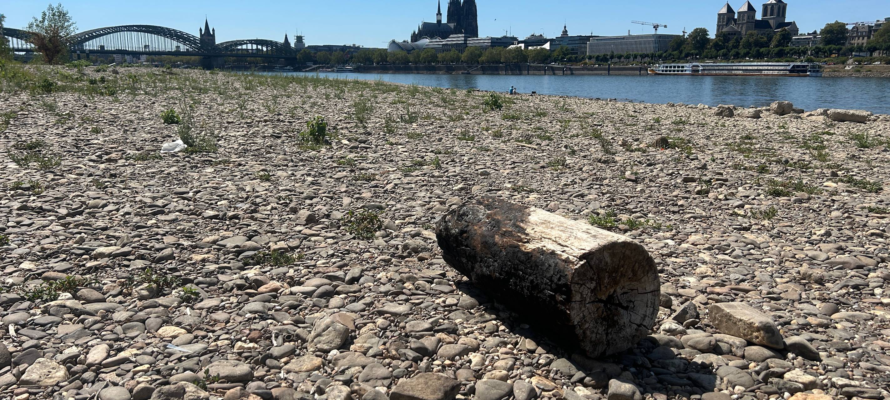 Klimafestival Köln läuft die ganze Woche