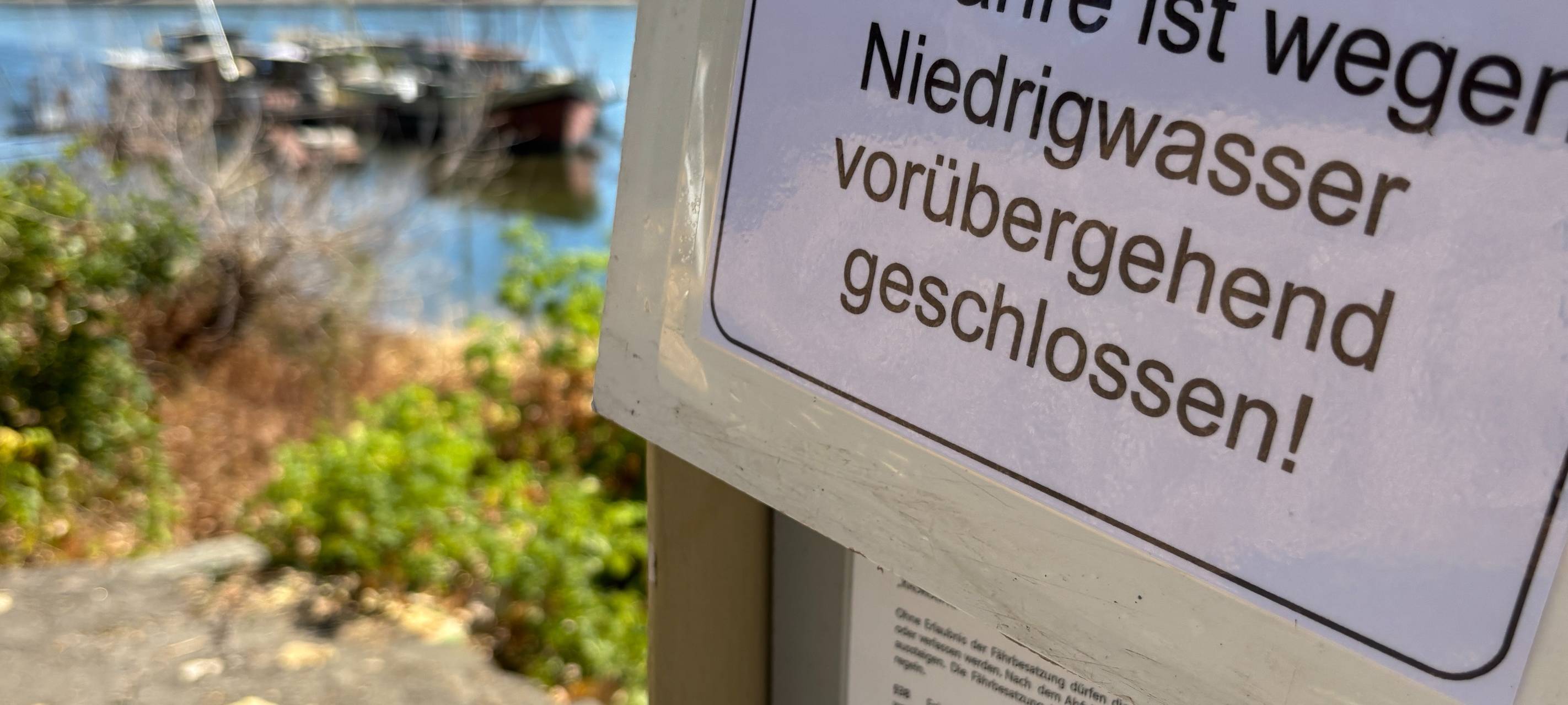 Krokodil-Rheinfähre muss Betrieb einstellen