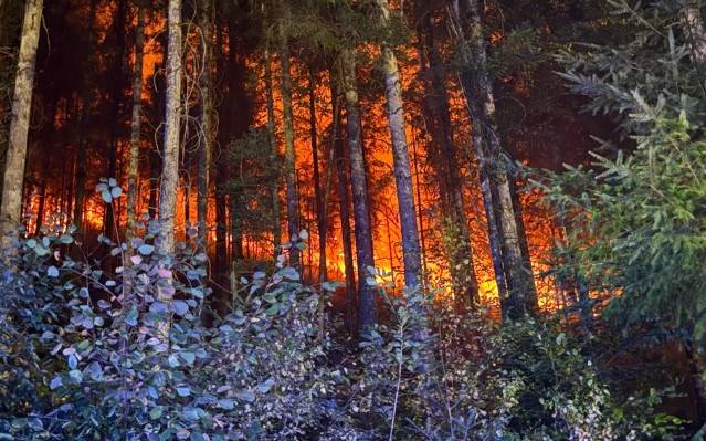 Liveticker: Die Waldbrandlage