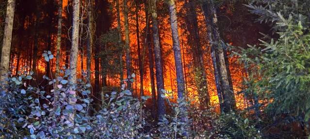 Liveticker: Die Waldbrandlage