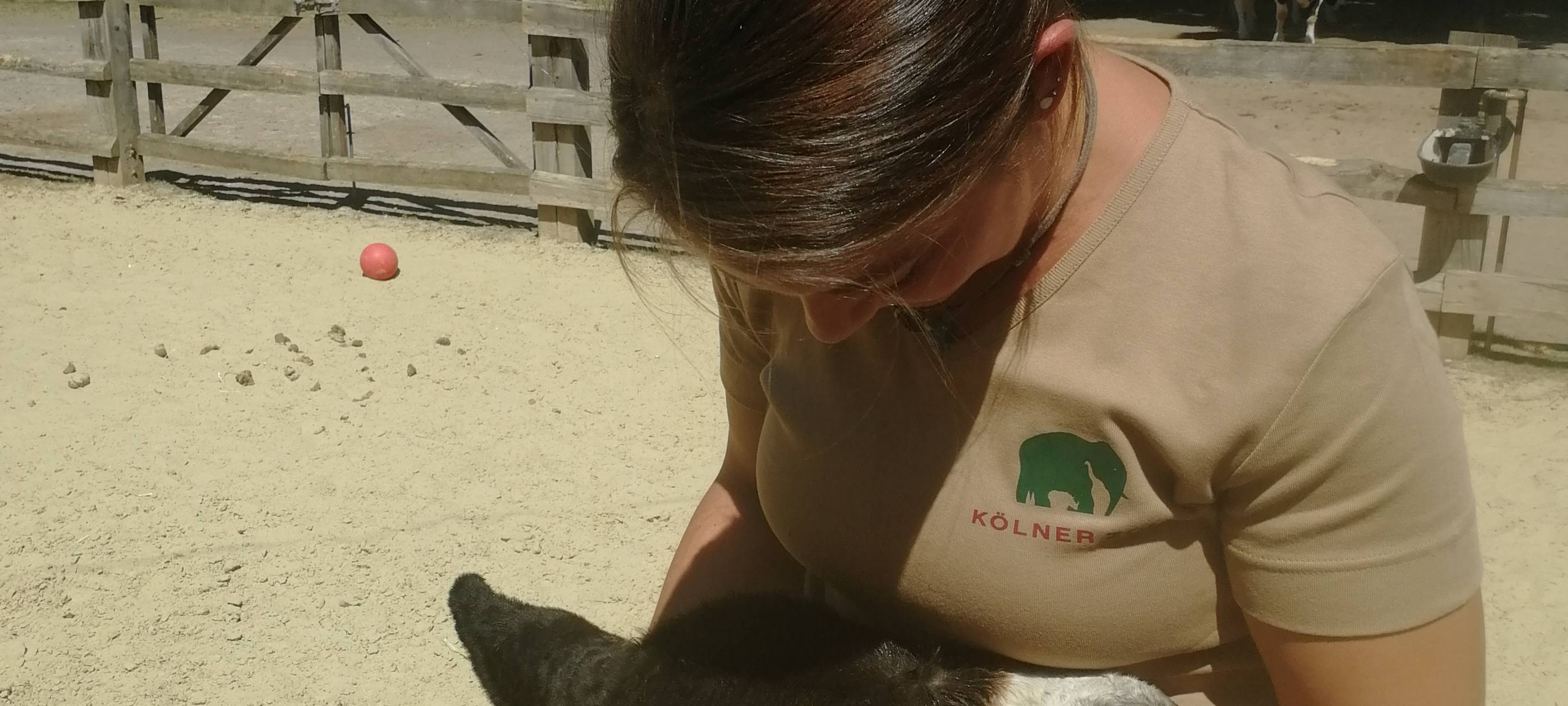 Neues Baby im Kölner Zoo: Freundliche Eselfamilie bekommt Nachwuchs
