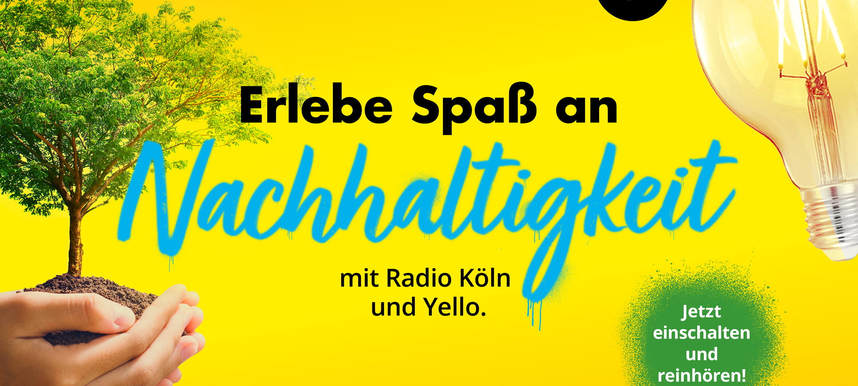 Erlebe Spaß an Nachhaltigkeit mit Radio Köln und Yello