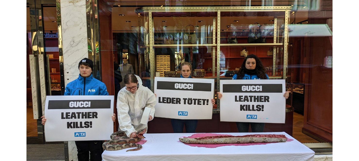 PETA-Aktion gegen Leder auf der Schildergasse