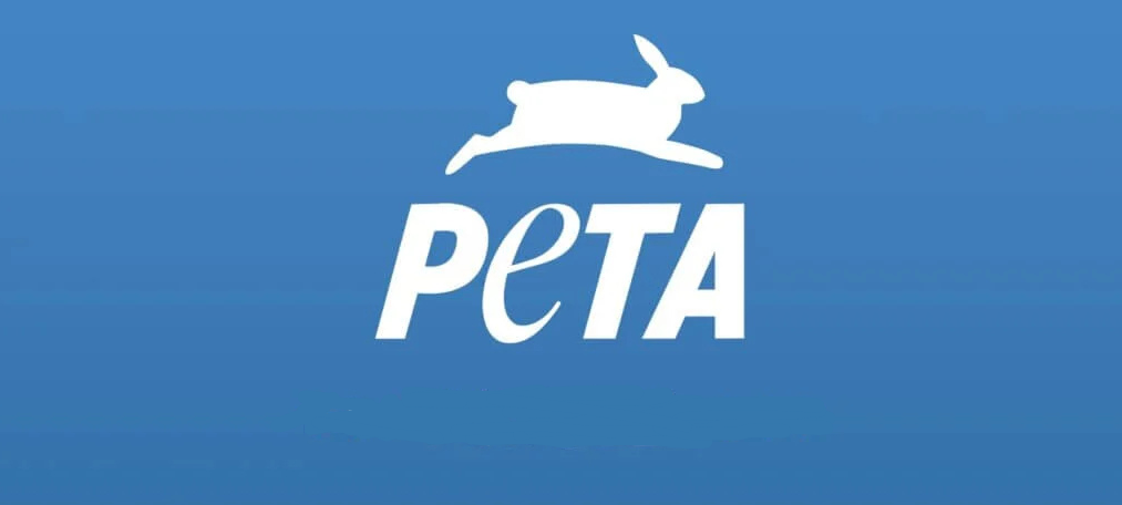 Brauhaus Päffgen reagiert auf Vorwürfe von PETA